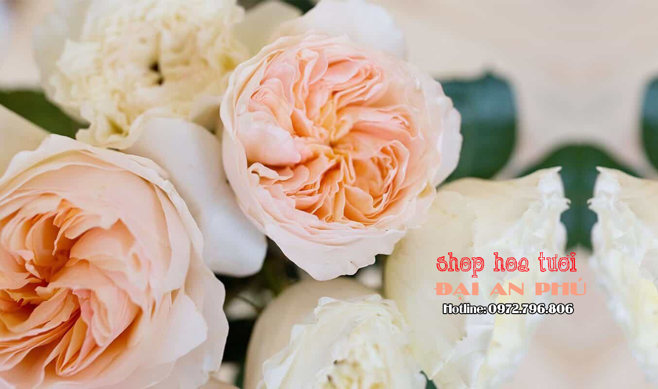 Shop hoa, cửa hàng hoa tươi Đại An Phú